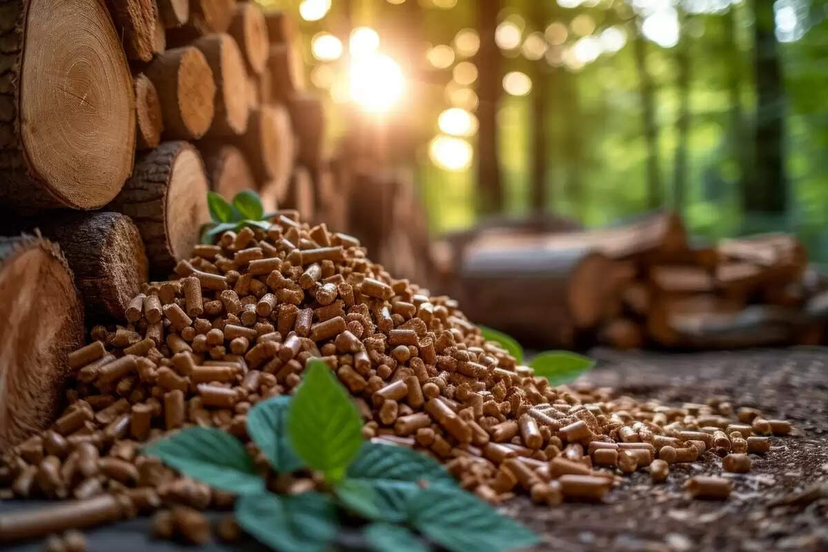biomass pellet and briquette