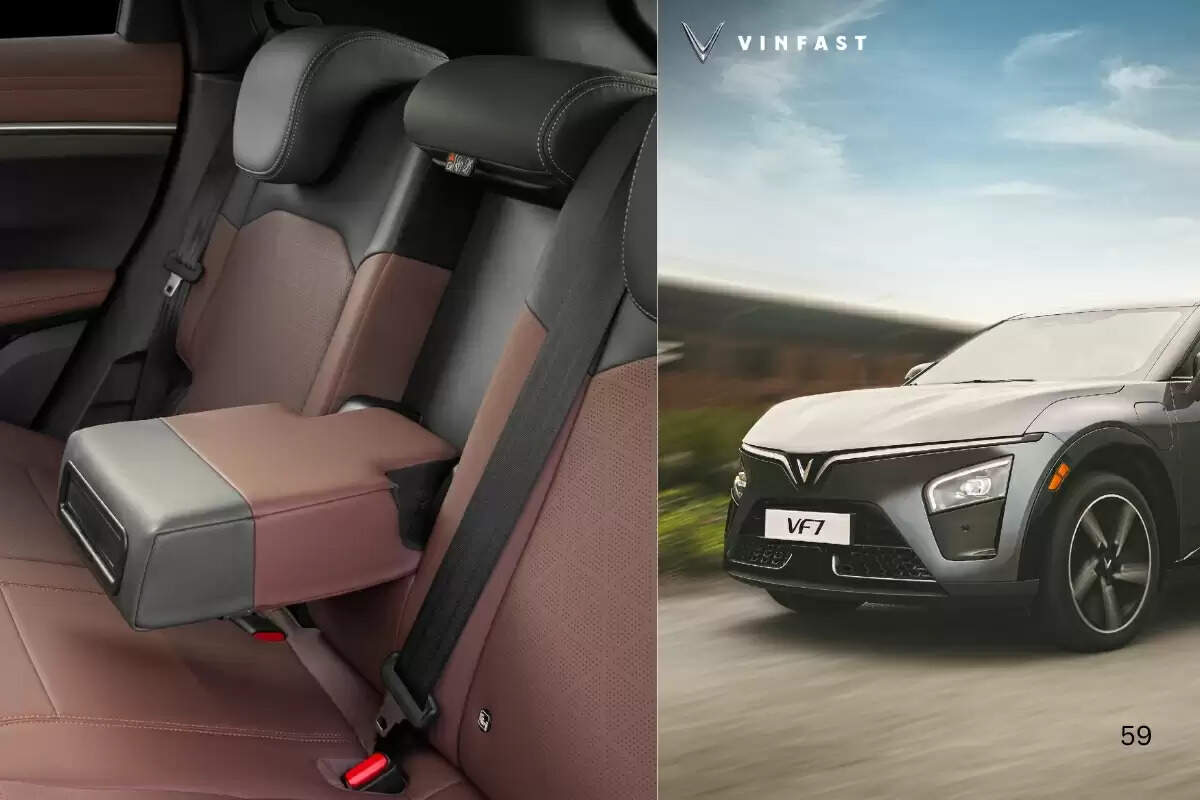vinfast ev in india